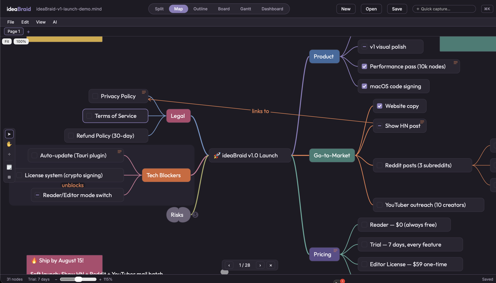 ideaBraid Mind map view